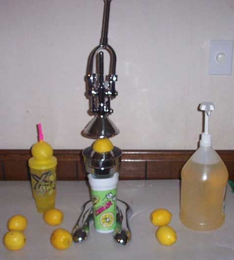 Fresh Squeezed Lemonade Machine Rental Erie, PA