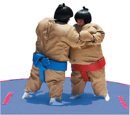 Sumo Wrestling Suits for Rent Erie, PA