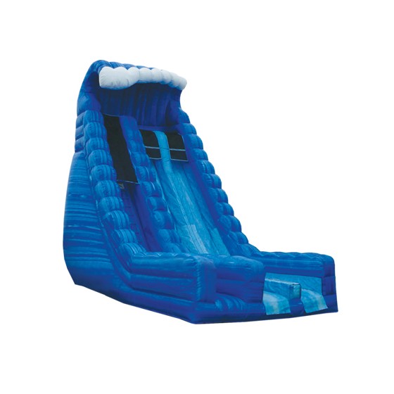 Blue Crush Dual Lane Inflatable Slide Rental Erie, PA