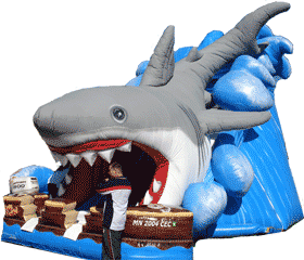 27 Foot Inflatable Shark Slide Rental Erie, PA