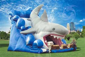 27 Foot Inflatable Shark Slide Rental Erie, PA
